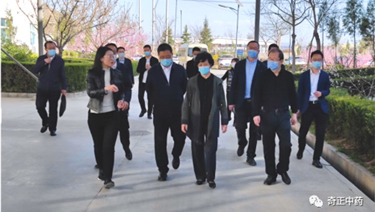 甘肅省副省長何偉一行蒞臨隴西奇正調研指導