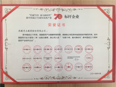 新中國成立70周年醫(yī)藥產業(yè)-標桿企業(yè)-201910